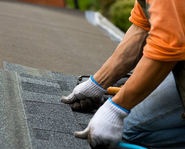 Best Roof Repair Services  in Scottsville, NY